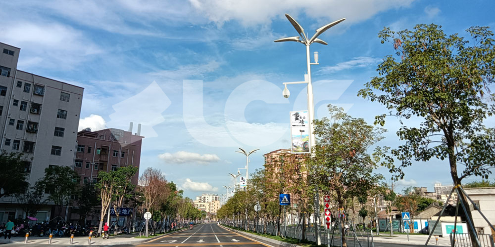ڱǻ۵ƸĿ2.jpg