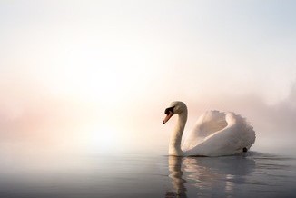 LCDDLPLEDĻȽ